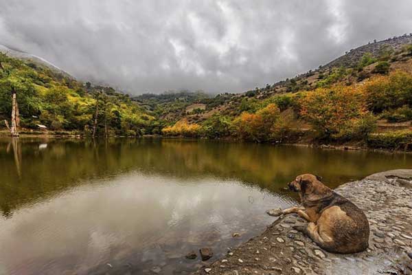 دریاچه-سد-دریوک-استان-مازندران