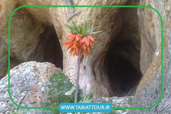 غار سفید خانی استان مرکزی ایران
