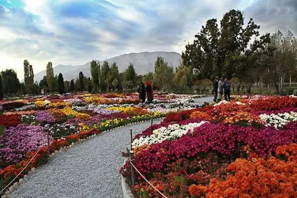 باغ موزه گیاه شناسی قشم