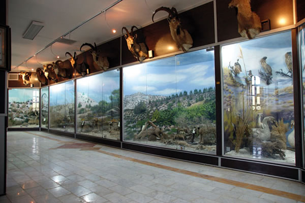 موزه ژئوپارک قشم