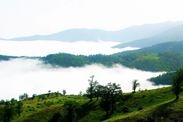 معرفی جنگل ابر سمنان