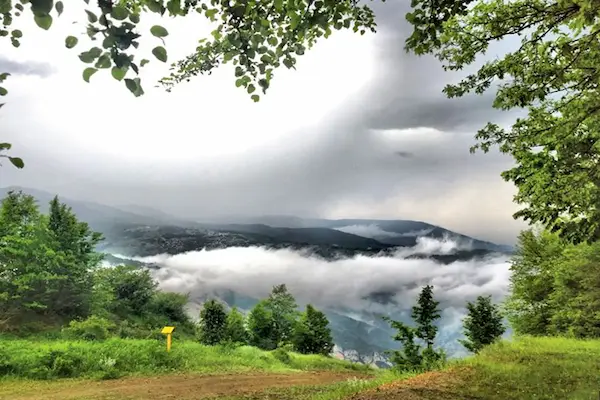 پوشش گیاهی و جانوری جنگل ابر سمنان