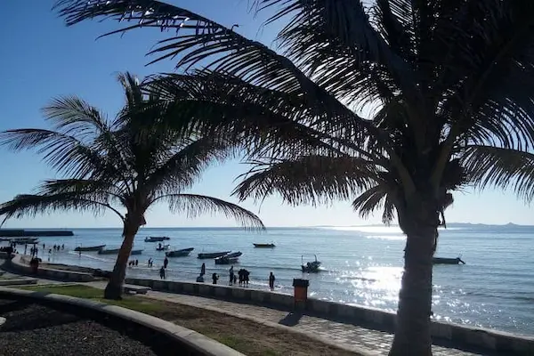 پارک زیتون قشم