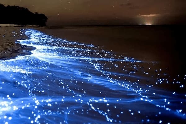 ساحل نقره ای جزیره هرمز