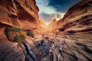 تور طبس نوروز