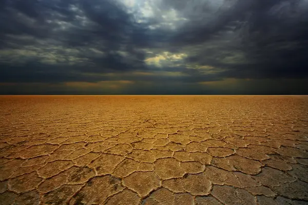 پارک ملی کویر