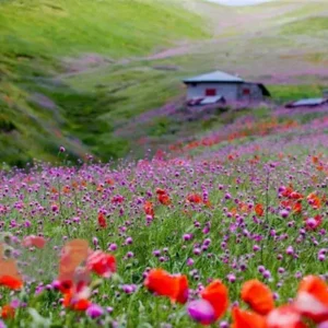 تور اسالم به خلخال