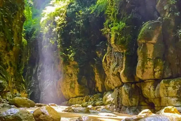 تور تنگه دار