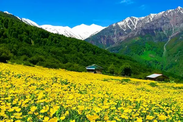 تور دشت دریاسر