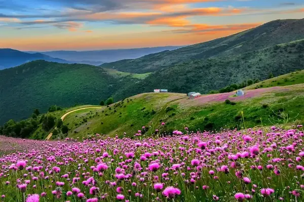 تور سلانسر