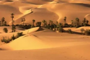 تور کویر ابوزید آباد