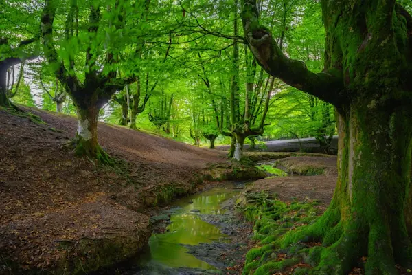 ارسباران کجاست