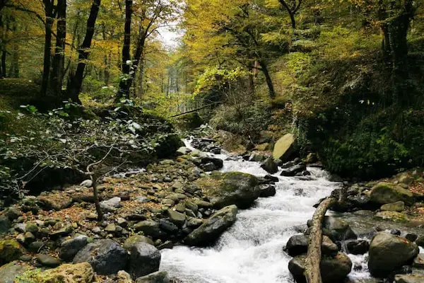 تور فلکده