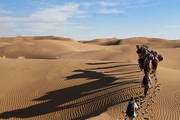 مقایسه تورهای کویر مصر با مرنجاب و کاراکال