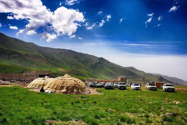 اکوکمپ چیست