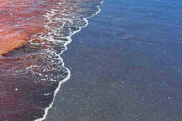 ساحل نقره ای هرمز