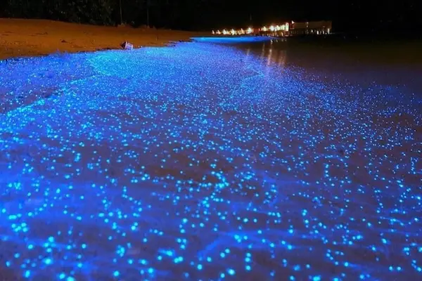 مسیر دسترسی به ساحل نقره ای