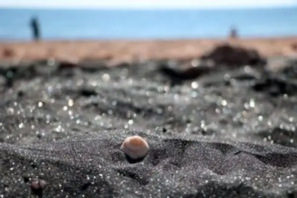 معرفی و تاریخچه ساحل نقره ای