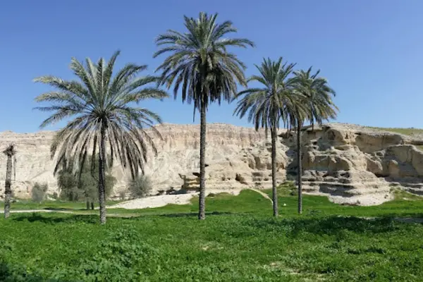 منطقه گود کناردان پارسیان