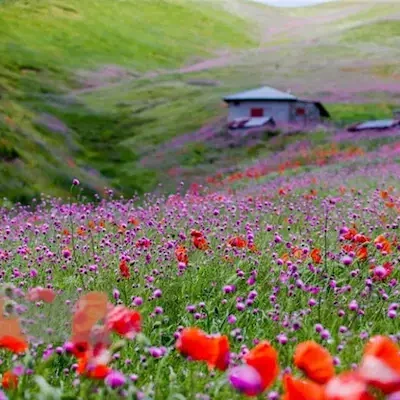 تور اسالم به خلخال