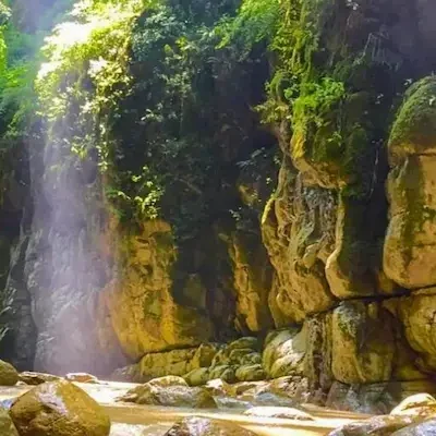 تور تنگه دار