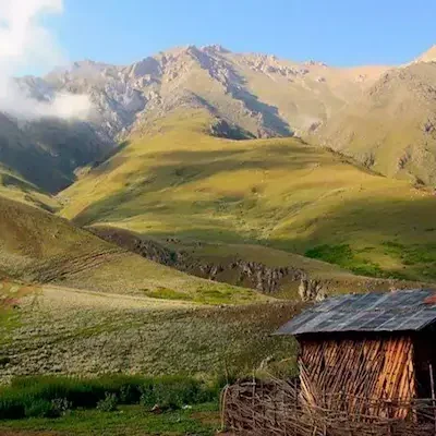 تور جواهردشت