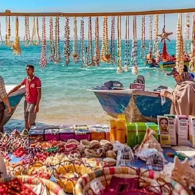 تور قشم، هرمز، هنگام