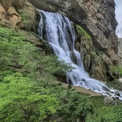 تور کمپ جنگل سفید آب