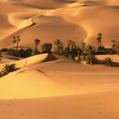 تور کویر ابوزید آباد